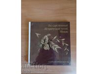 Αριστουργήματα της κοσμηματοποιίας