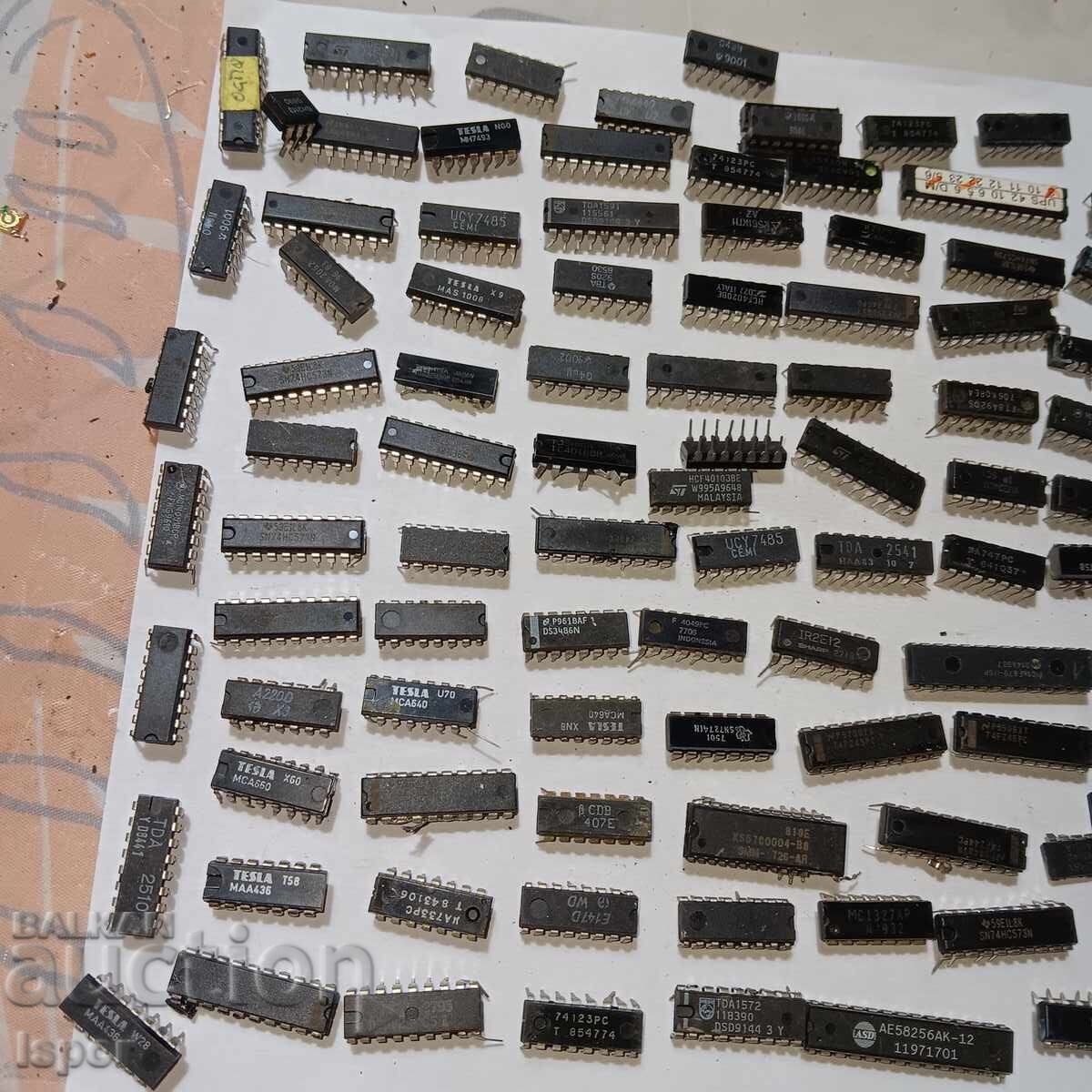 Small Microchips with price 8.00 BGN | € 4.09