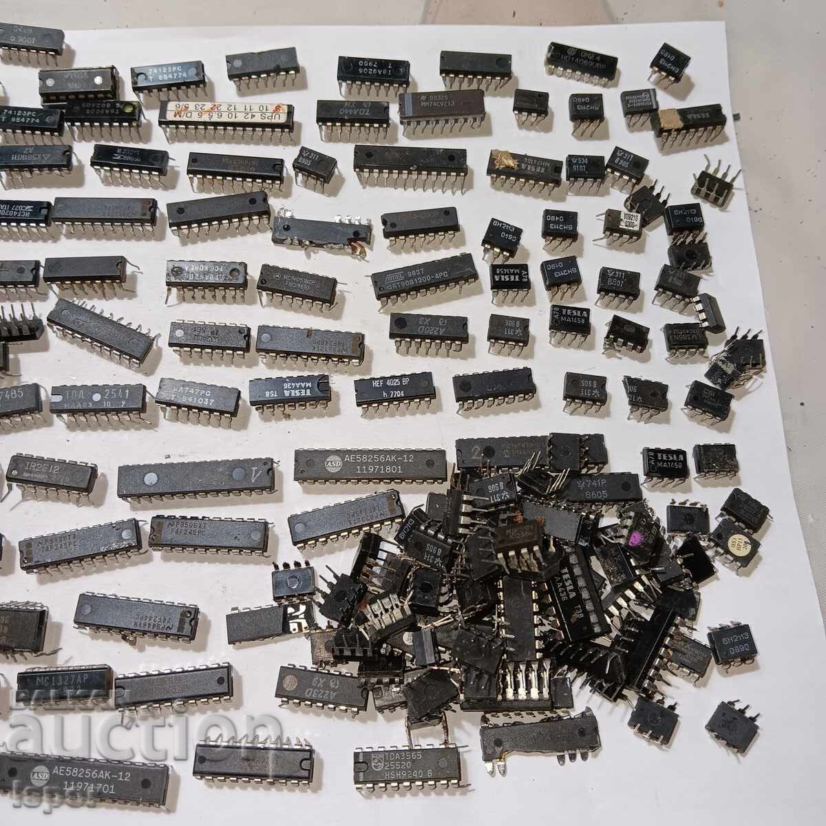 Auction  Small Microchips