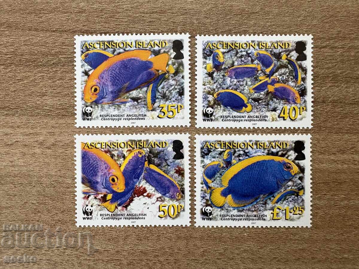 Νήσος Αναλήψεως - WWF - Ψάρι Άγγελος (2007) MNH Νήσος Αναλήψεως - WWF - Ψάρι Άγγελος (2007) MNH