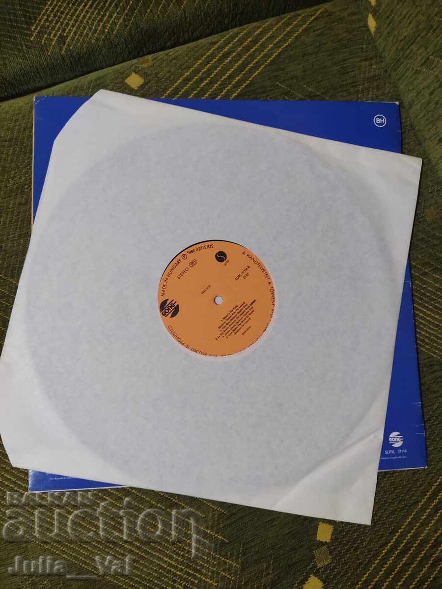 Аукцион Грамофонна плоча - Madonna - The blue Аукцион Грамофонна плоча - Madonna - The blue