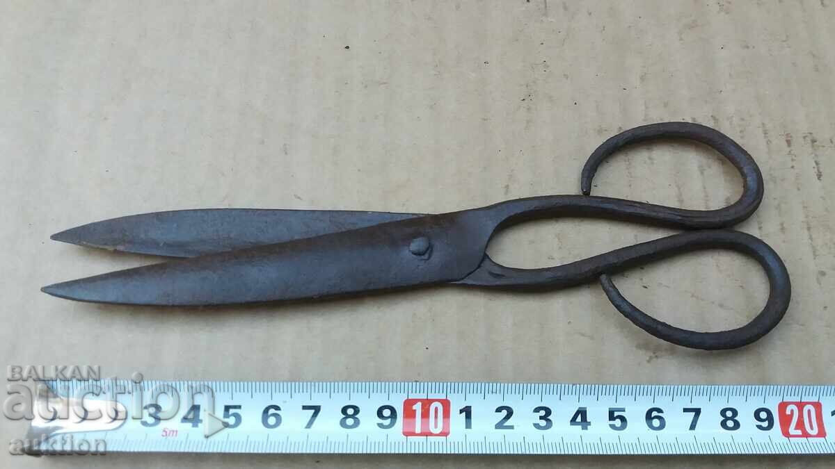 FOARFECE DE ABAGIU RENAȘTERE - 5