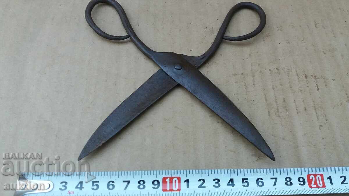 FOARFECE DE ABAGIU RENAȘTERE - 6