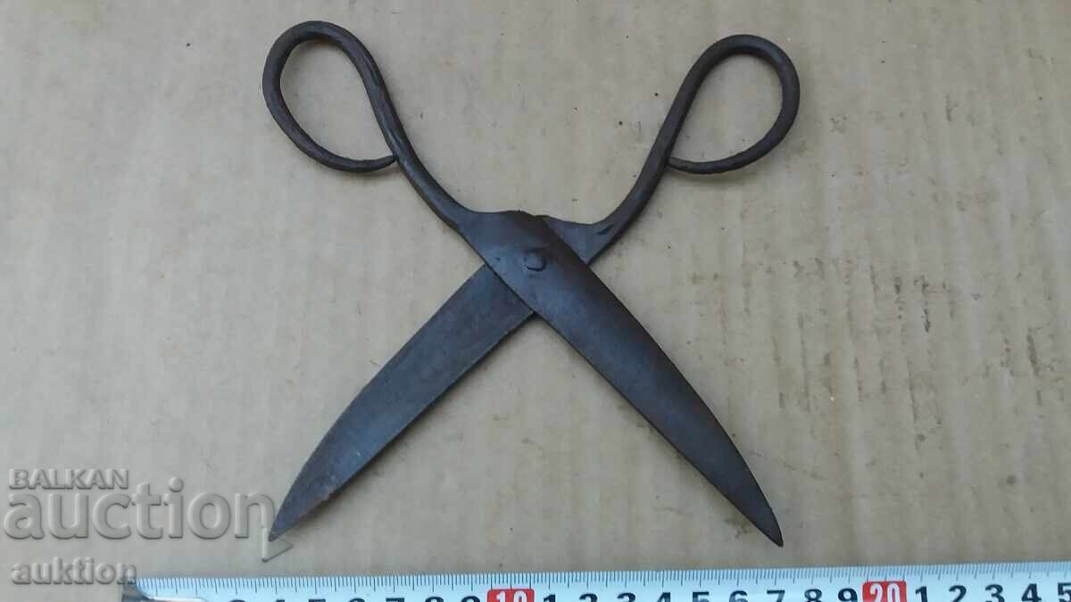 FOARFECE DE ABAGIU RENAȘTERE - 7