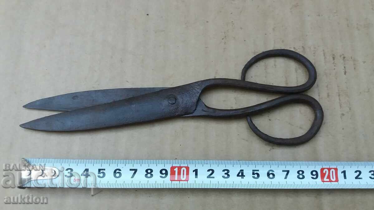 FOARFECE DE ABAGIU RENAȘTERE