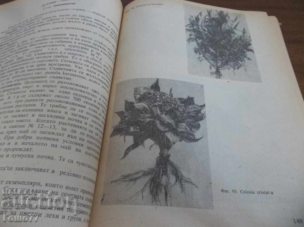 Δημοπρασία Ενα βιβλίο