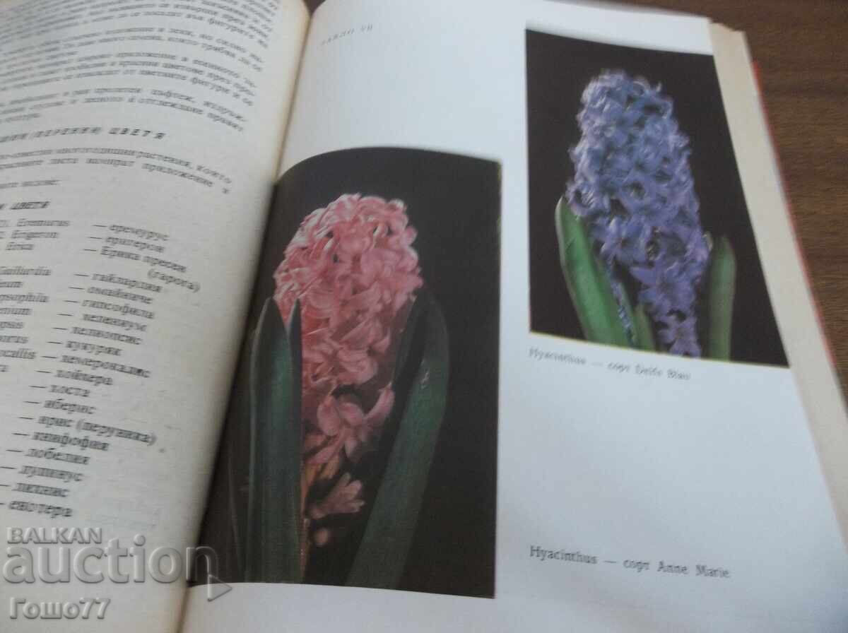 Παράδοση Ενα βιβλίο