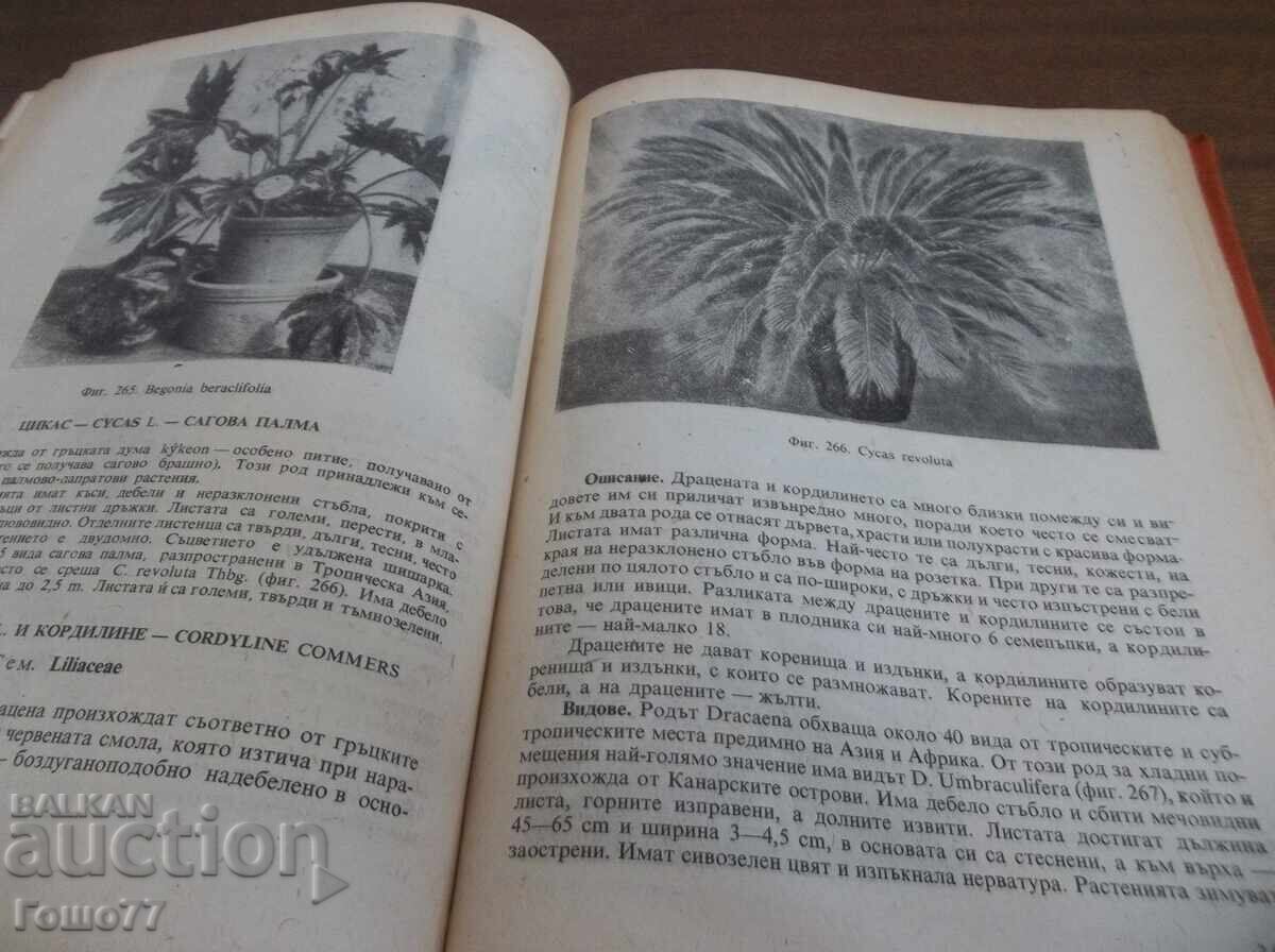 A book - 5 A book - 5