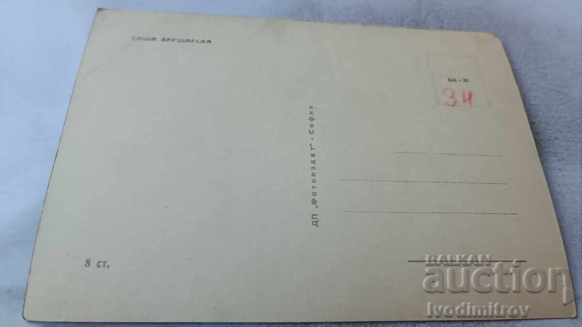 Postcard Sasha Krusharska with price 1.45 BGN | € 0.74