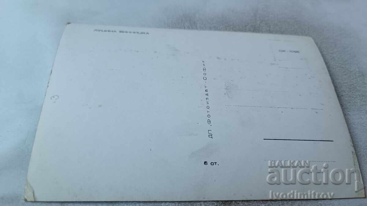 Postcard Lucyna Winnicka with price 1.65 BGN | € 0.84 Postcard Lucyna Winnicka with price 1.65 BGN | € 0.84