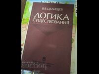 Η λογική της ύπαρξης του Β.Β. Τσελιστσέφ