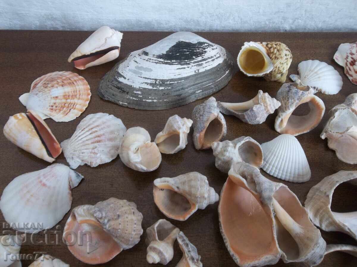 Νεροχύτες με τιμή 10.00 BGN | € 5.11