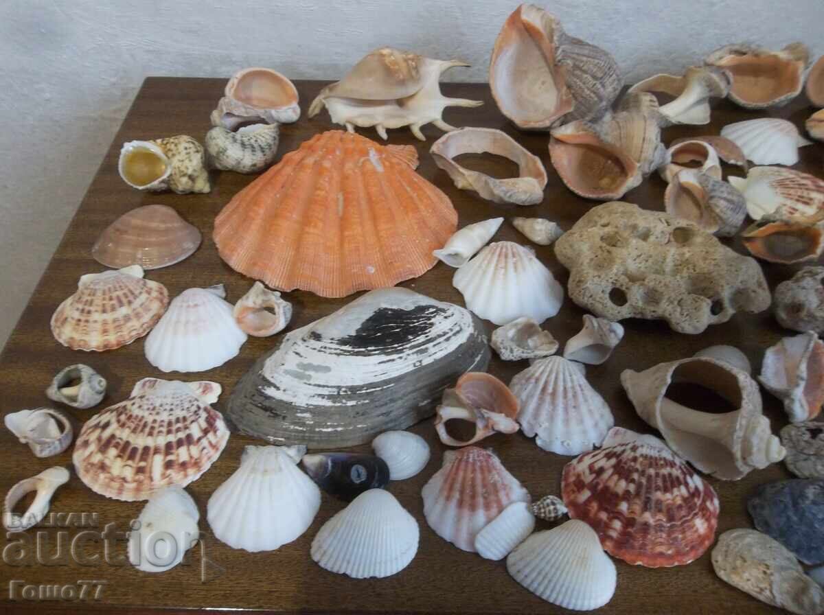 Νεροχύτες με τιμή € 5.00 | 9.78 BGN