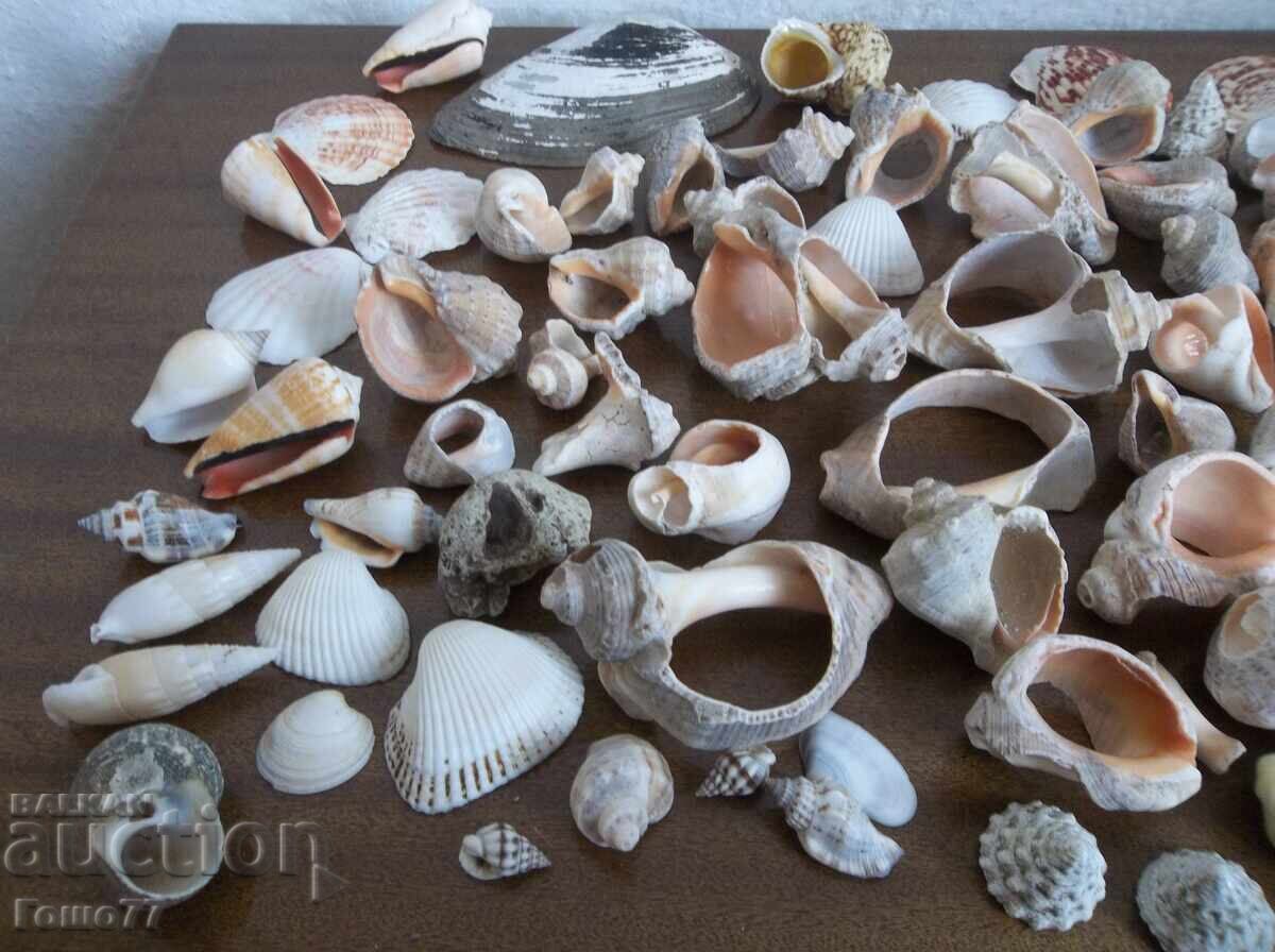 Δημοπρασία Νεροχύτες