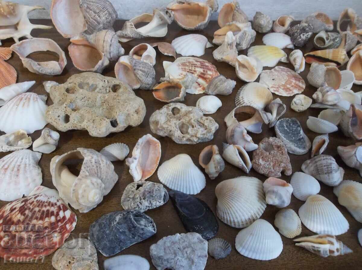 Δημοπρασία Νεροχύτες