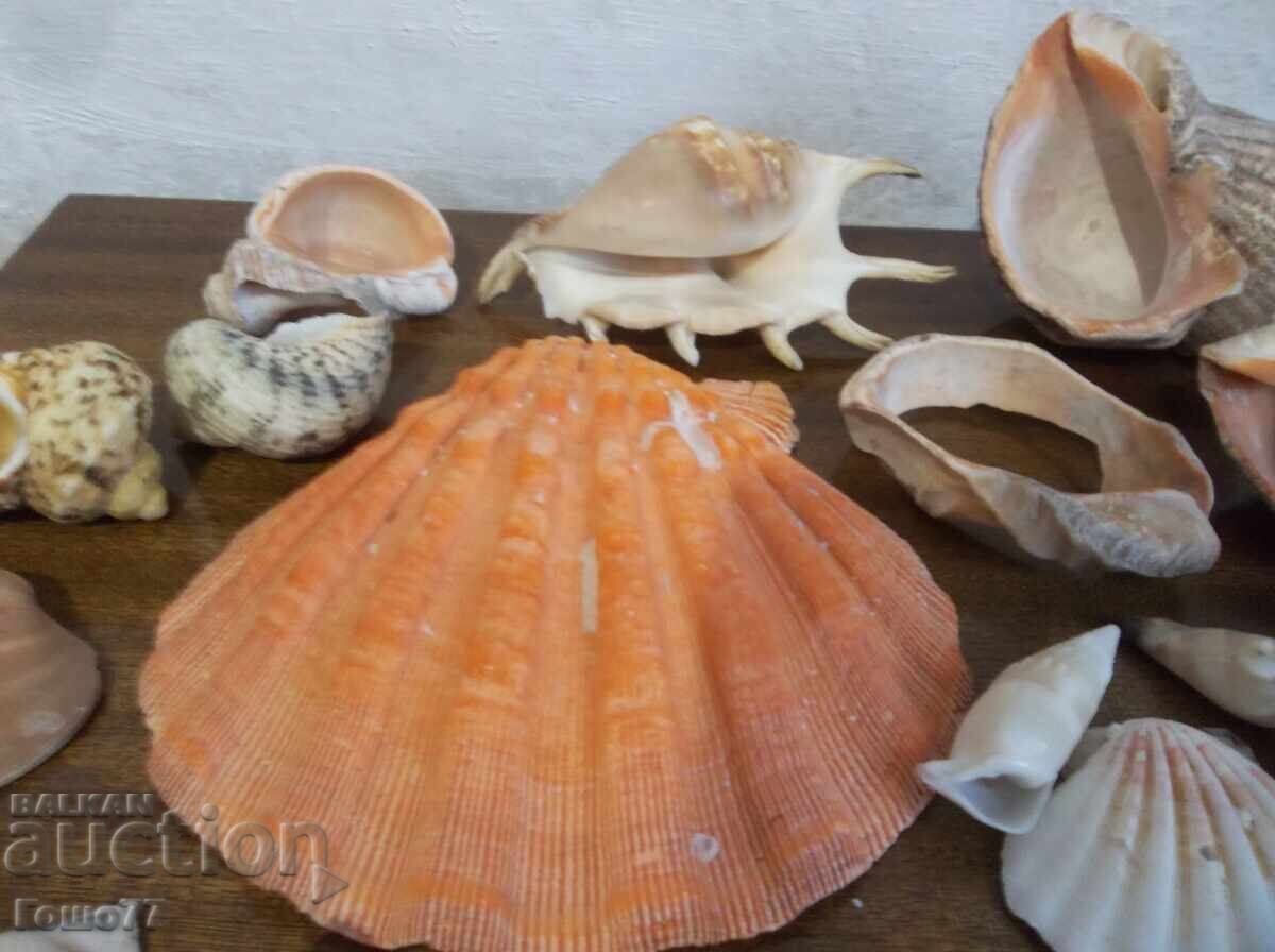 Νεροχύτες - 5