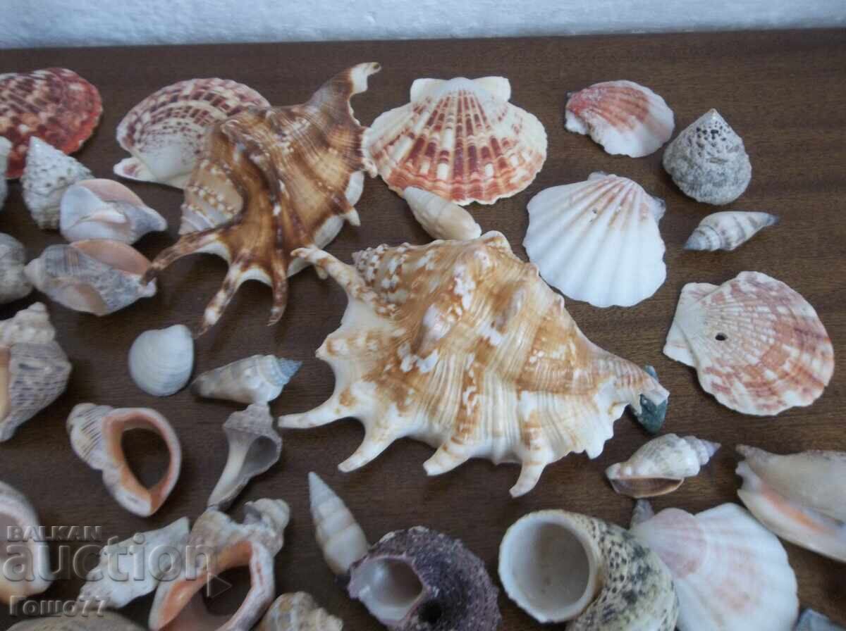 Νεροχύτες - 6