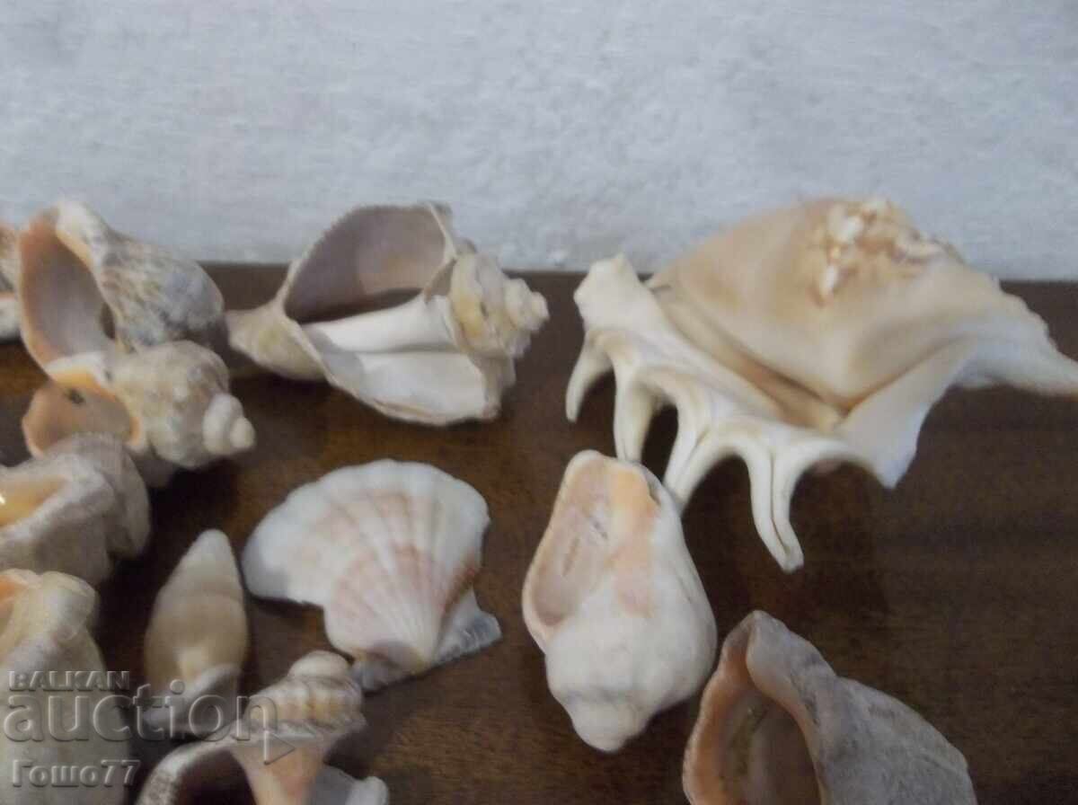 Νεροχύτες - 6