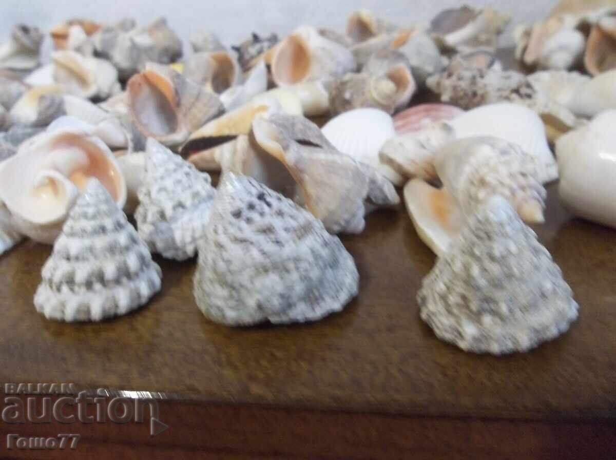 Νεροχύτες - 7