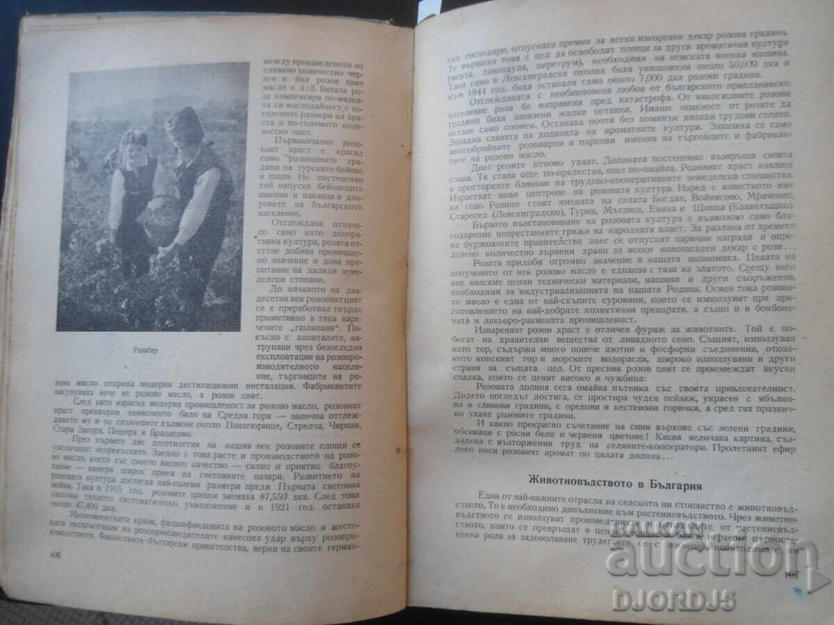 Доставка на България нашата родина, 1955 г.