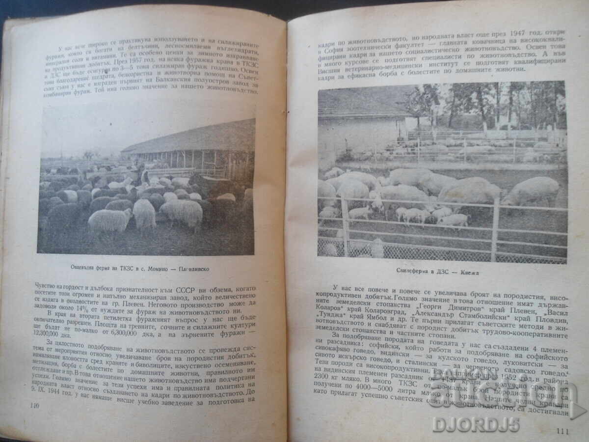 България нашата родина, 1955 г. - 5