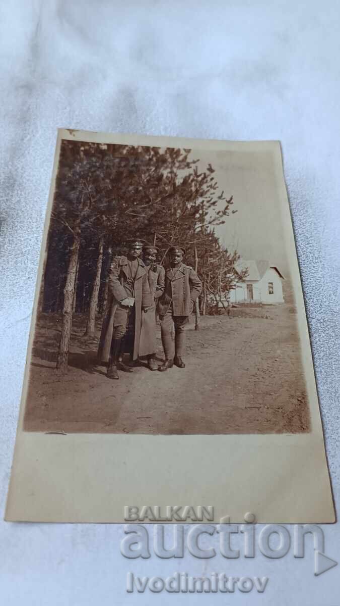 Photograph of Three Officers on the Front, WWI
