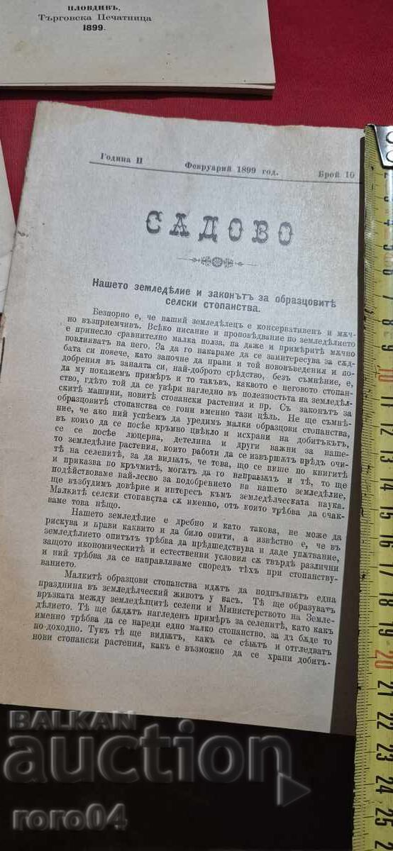 САДОВО - ГОДИНА II - 6 БРОЯ - 1899 г. - ПЪТУВАЛИ - 7
