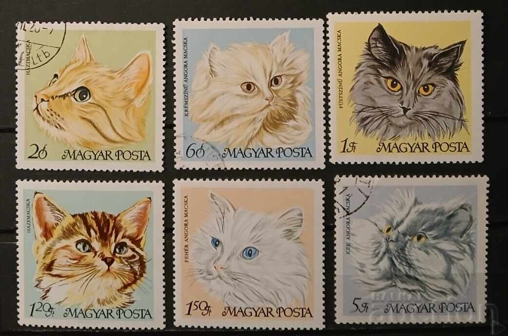 Ungaria 1968 Pisici
