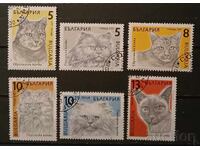 Βουλγαρία 1989 Γάτες