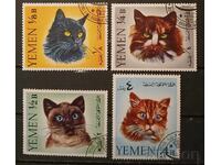Kingdom of Yemen 1965 Cats