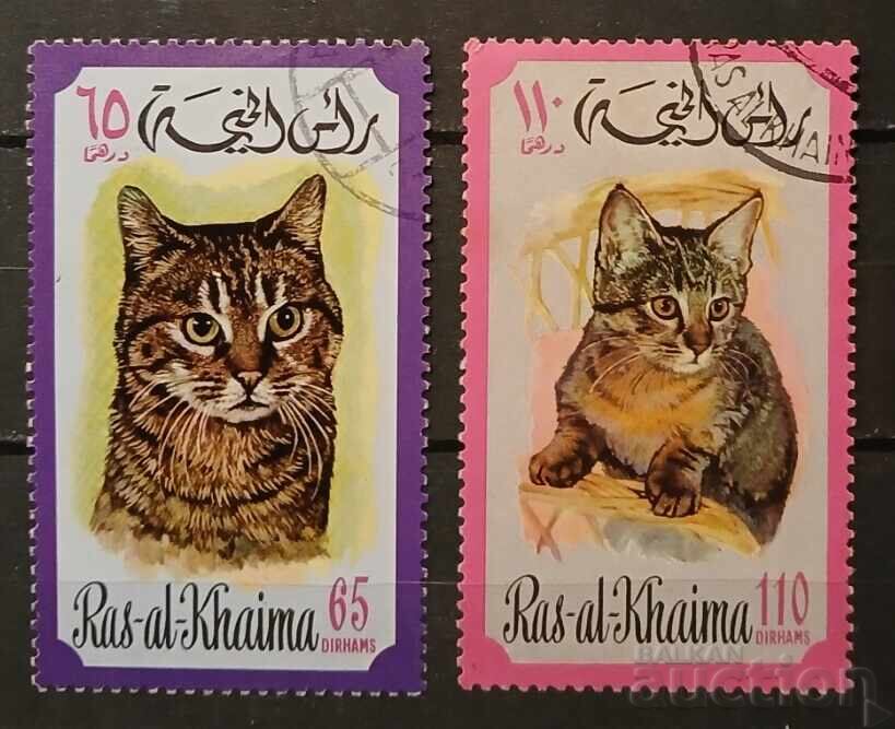 Ρας αλ-Χαϊμά 1971 Γάτες