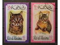 Ρας αλ-Χαϊμά 1971 Γάτες