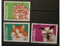 Nicaragua 1984 Pisici