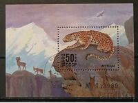 СССР 1985 Котки