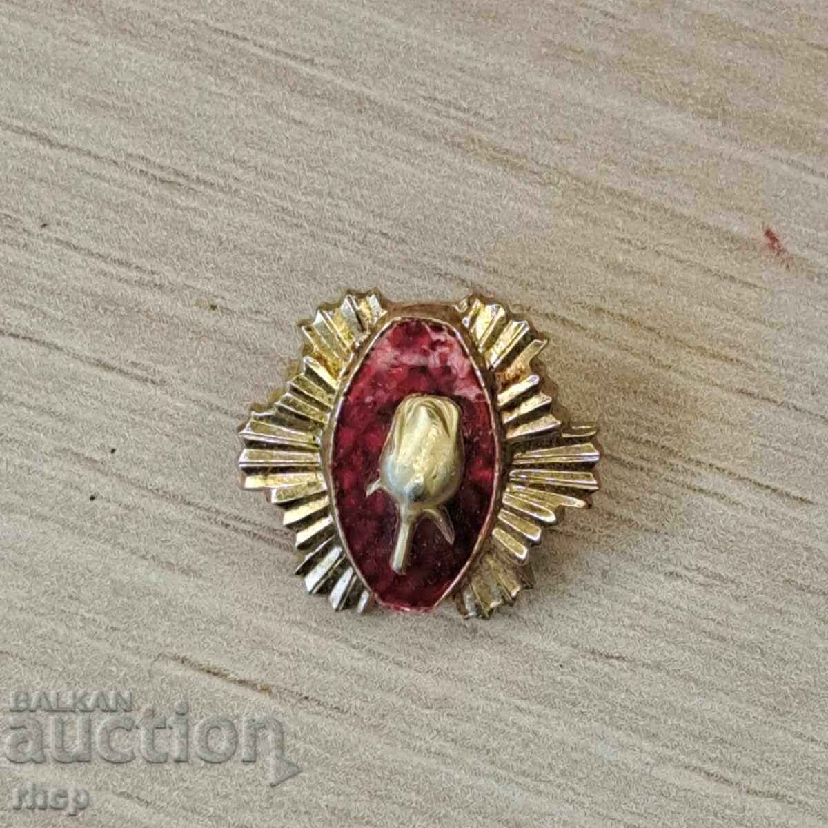 Μινιατούρα με σμάλτο και επιχρύσωση του Τάγματος του Ρόδου Μινιατούρα με σμάλτο και επιχρύσωση του Τάγματος του Ρόδου