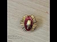 Μινιατούρα με σμάλτο και επιχρύσωση του Τάγματος του Ρόδου