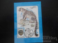 Calendar vechi rusesc, 1985