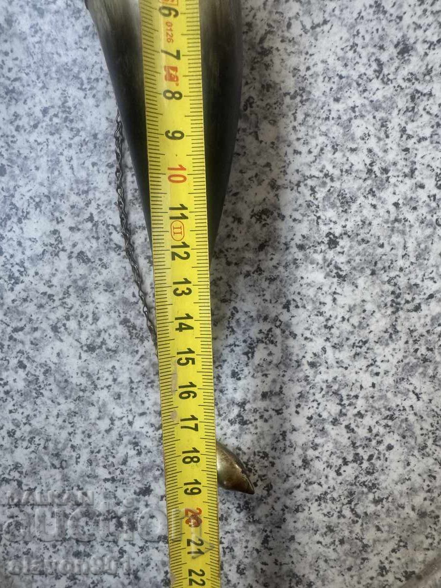 Κύπελλο γεωργιανού κέρατου - 7 Κύπελλο γεωργιανού κέρατου - 7