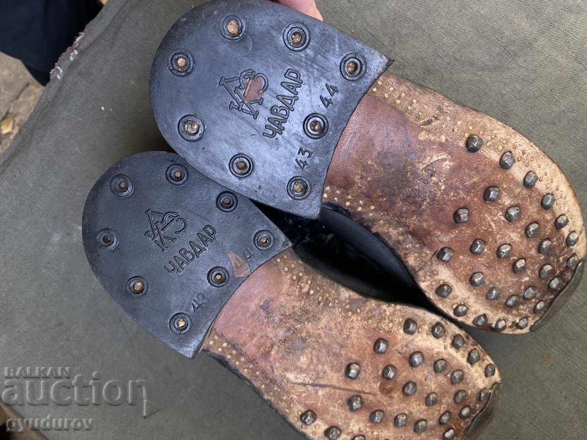 Delivery of Cintari Delivery of Cintari