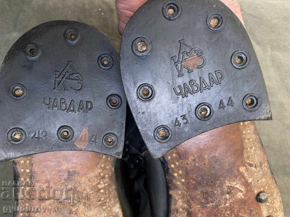 Cintari - 5 Cintari - 5