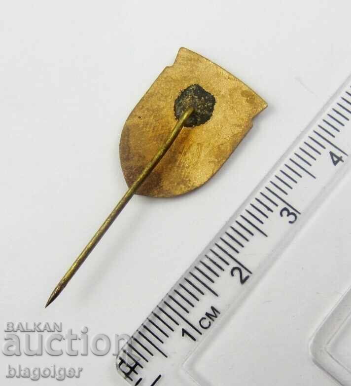 Δημοπρασία BCHK Ερυθρός Σταυρός ΠΚΣΣ-Ορεινή Υπηρεσία Διάσωσης-Email