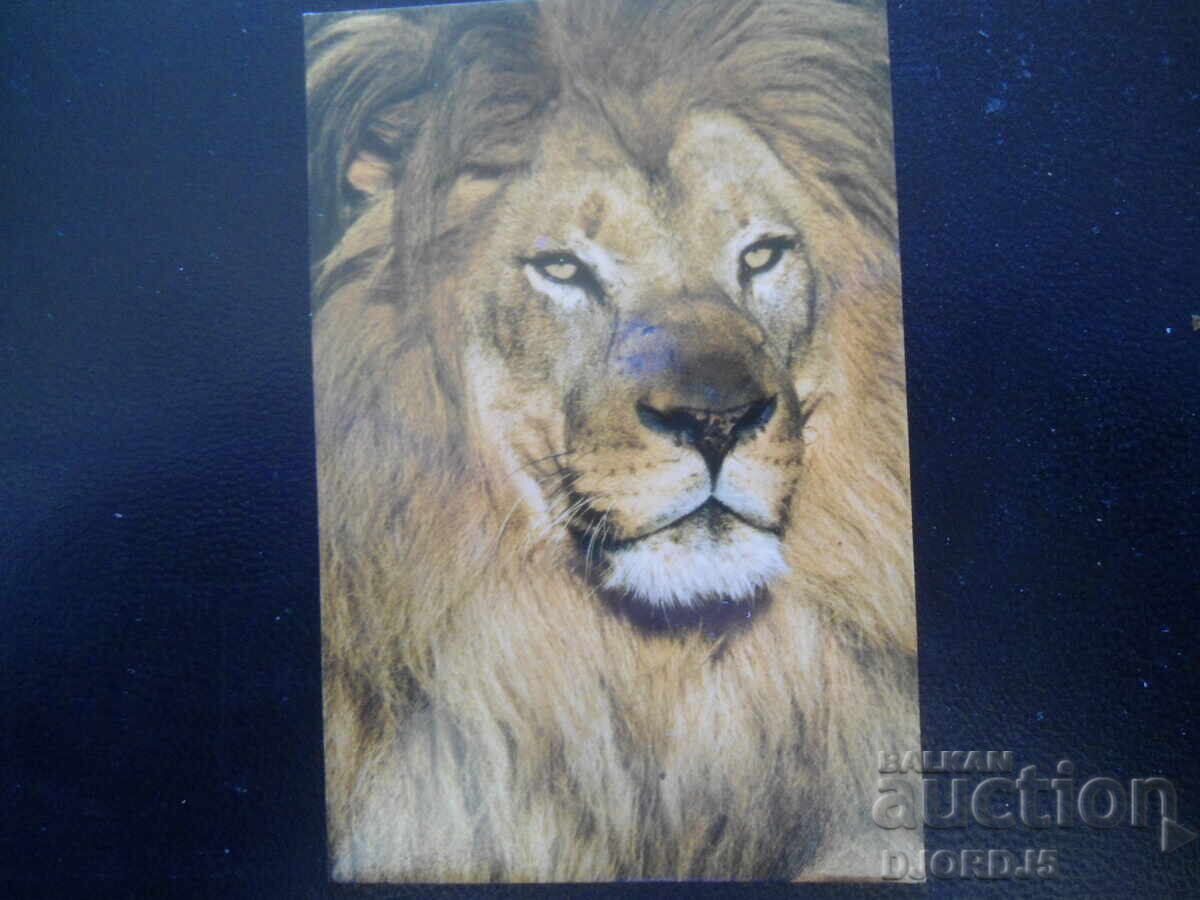 Παλαιό βουλγαρικό ημερολόγιο, 2015