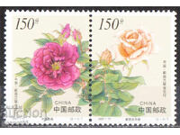 1997. China. Trandafiri.