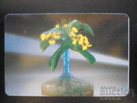 Старо българско календарче, 1996 г.