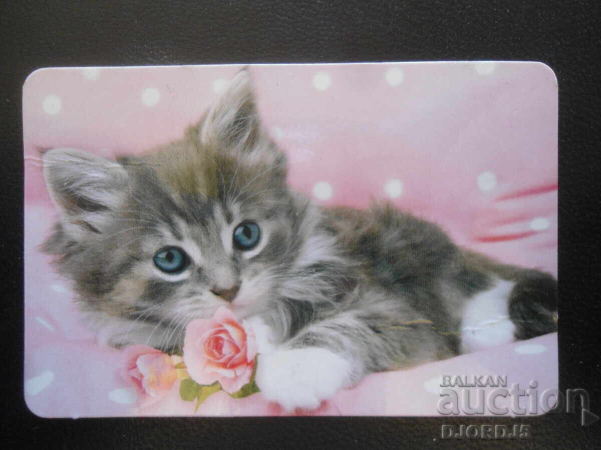 Old calendar, 2024 Old calendar, 2024