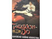 Taekwondo - arte marțială coreeană