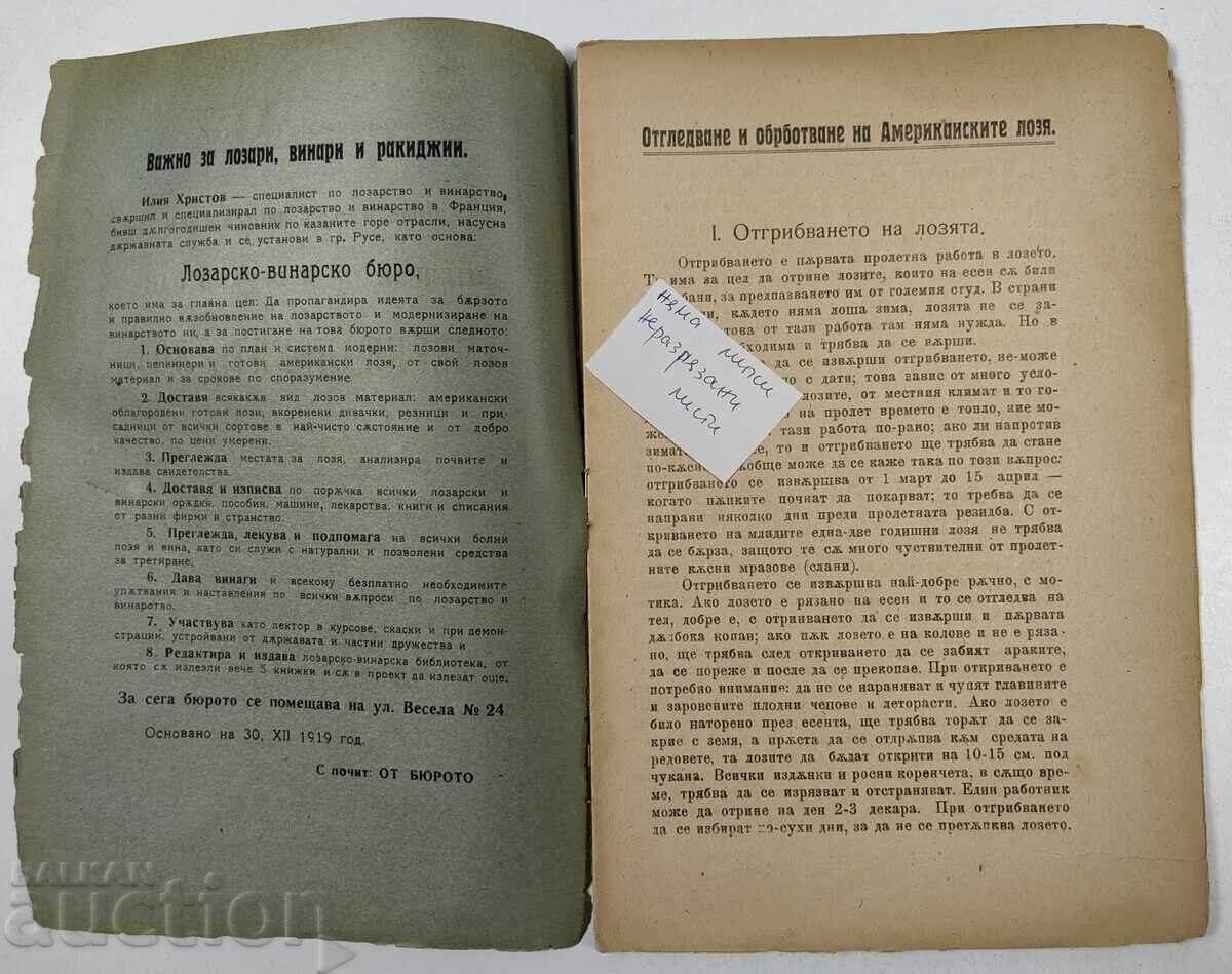 Auction Instructions for Growing and Processing American Vineyards Auction Instructions for Growing and Processing American Vineyards