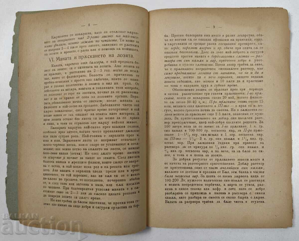 Instructions for Growing and Processing American Vineyards - 5 Instructions for Growing and Processing American Vineyards - 5