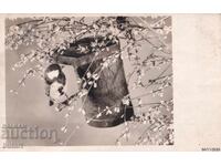 Ευχετήρια Κάρτα Πουλί Ταξιδεμένο ΤΚ