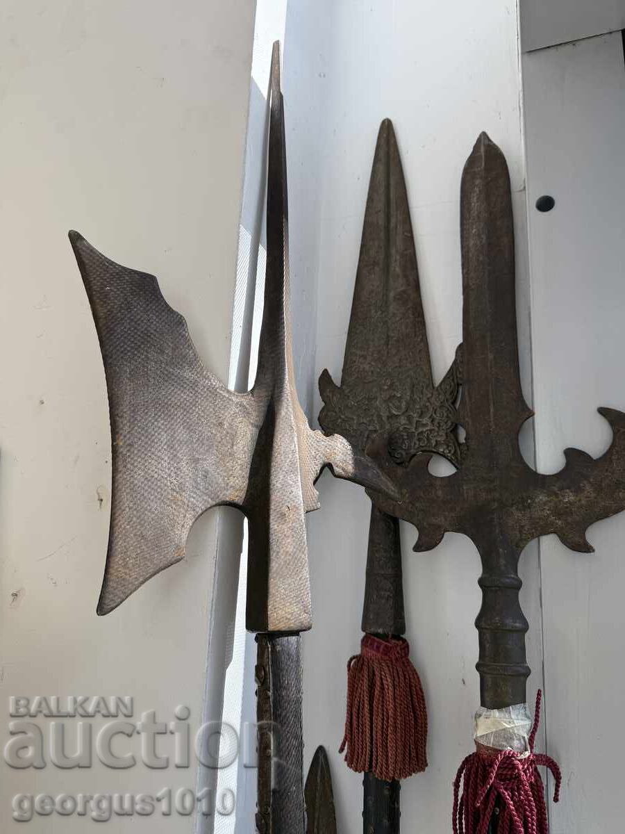 Ρεαλιστική αλεμπάρδα №7570